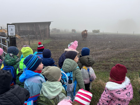 I přes nepříznivé počasí jsme si výlet užili